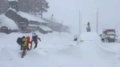 Lake Tahoe avalanche: 8 skiers dead, one missing after massive slide near Castle Peak