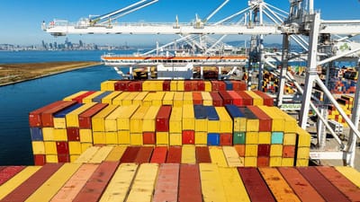 Trump tariffs trashed: US businesses fret as court ruling ‘worryingly silent’ over refunds